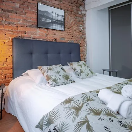 Appartement Le Passage De La Comédie - Climatisation&wifi Fibre Montauban