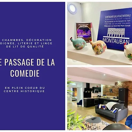 Le Passage De La Comedie - Climatisation & Wifi Fibre Apartment Montauban