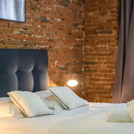 Le Passage De La Comedie - Climatisation & Wifi Fibre Apartment Montauban